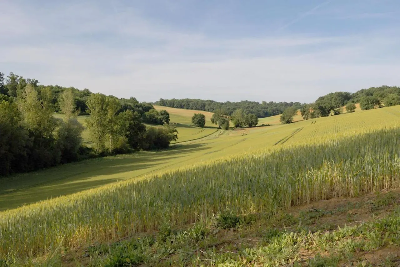 Villa Avec Vue - Piscine Privee, Cuisine D'Ete, Jeux Video Et Appareils De Fitness Puygaillard-de-Lomagne